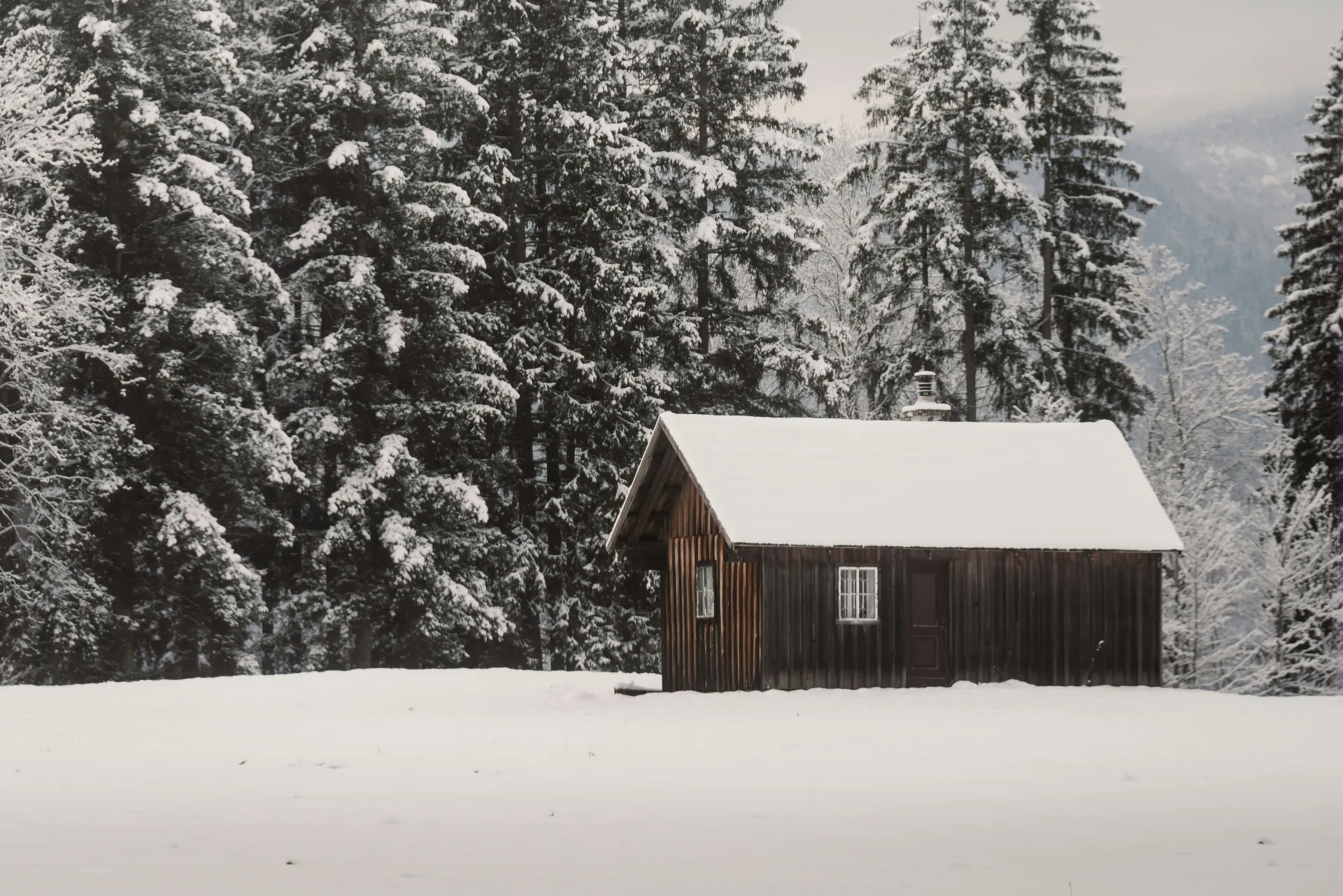 Liten trehytte i en snødekt skog