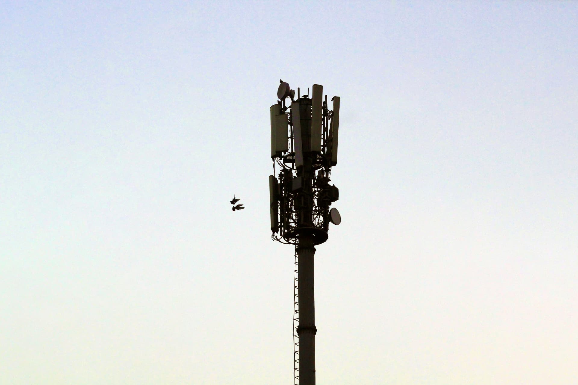 Mobilmast mot en lys himmel